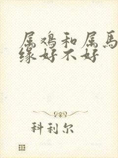 属鸡和属马的姻缘好不好封面