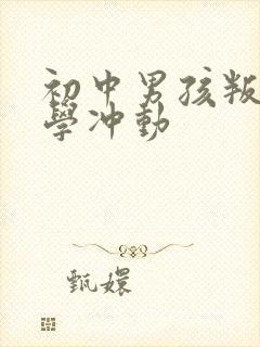 初中男孩叛逆厌学冲动