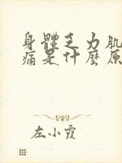 身体乏力肌肉酸痛是什么原因