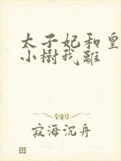 太子妃和皇上在小树我离封面