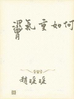 湿气重如何调脾胃封面