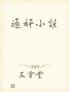 通奸小说