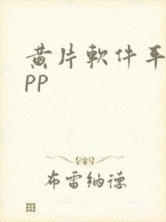 黄片软件平台app