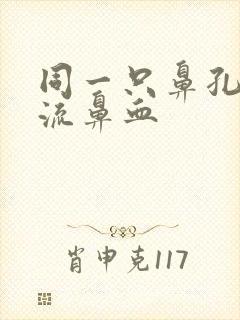 同一只鼻孔反复流鼻血