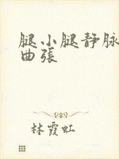 腿小腿静脉血管曲张