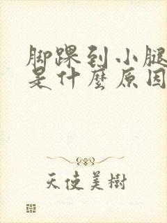 脚踝到小腿胀痛是什么原因引起的