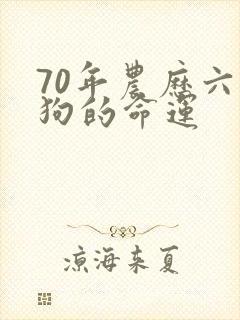 70年农历六月狗的命运