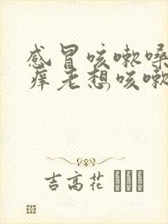 感冒咳嗽嗓子痒痒老想咳嗽怎么办