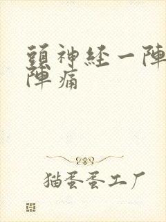 头神经一阵一阵阵痛