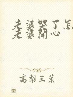 老婆哭了怎么哄老婆开心封面