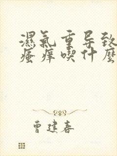 湿气重导致皮肤瘙痒吃什么药