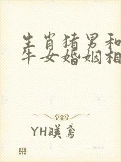 生肖猪男和生肖牛女婚姻相配吗?封面