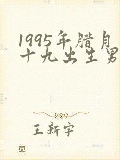 1995年腊月十九出生男命