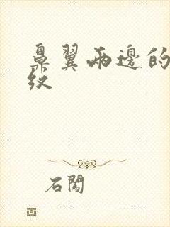 鼻翼两边的法令纹