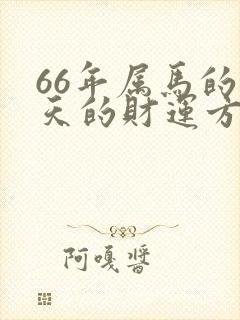 66年属马的今天的财运方向