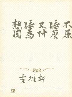 想睡又睡不着是因为什么原因