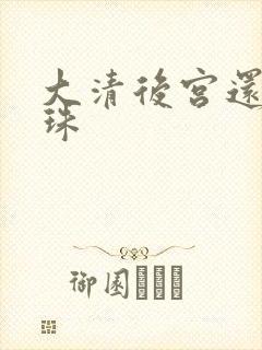 大清后宫还君明珠封面