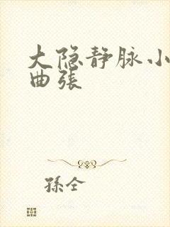 大隐静脉小腿段曲张