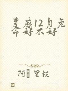 农历12月兔子命好不好