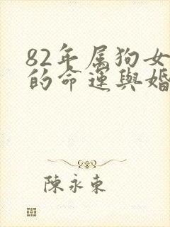 82年属狗女人的命运与婚姻