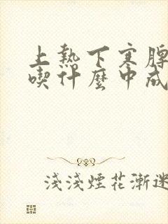 上热下寒脾胃虚吃什么中成药