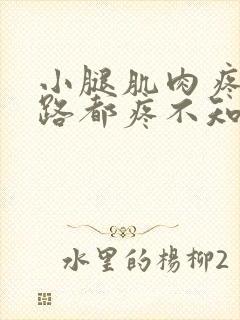 小腿肌肉疼痛走路都疼不知道是怎么回事