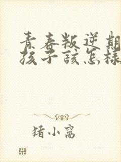 青春叛逆期的男孩子该怎样去沟通教育封面