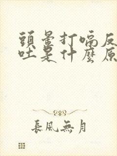 头晕打嗝反胃想吐是什么原因