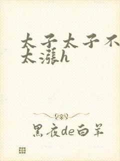 太子太子不要了太涨h