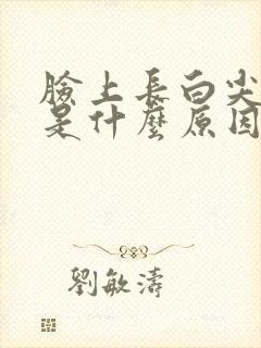 脸上长白尖粉刺是什么原因