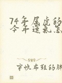 74年属虎的人今年运气怎么样