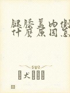 腿膝盖内侧疼痛什么原因怎么治封面