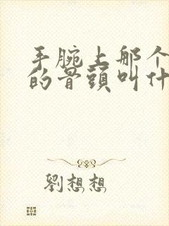 手腕上那个凸起的骨头叫什么