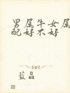 男属牛女属猪婚配好不好