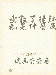 吃饭了后肚子胀气是什么原因封面