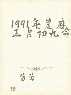 1991年农历正月初九命运如何