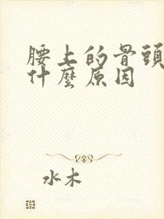 腰上的骨头疼是什么原因