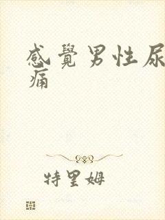 感觉男性尿道里痛