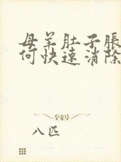 母羊肚子胀气如何快速消除