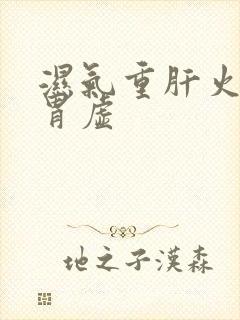 湿气重肝火旺脾胃虚封面