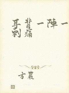 耳背一阵一阵的刺痛封面