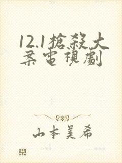 12.1枪杀大案电视剧