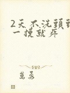 2天不洗头头皮一摸就疼