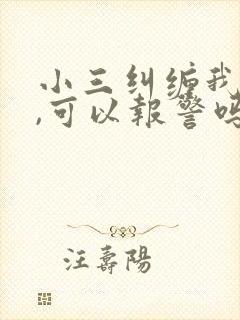 小三纠缠我老公,可以报警吗