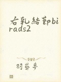 右乳结节bi一rads2