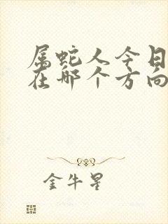 属蛇人今日财运在哪个方向