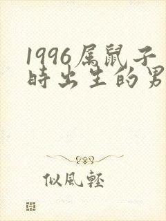 1996属鼠子时出生的男孩命运封面