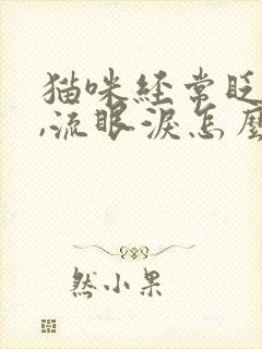 猫咪经常眨眼睛,流眼泪怎么回事