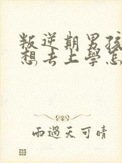 叛逆期男孩说不想去上学怎么办