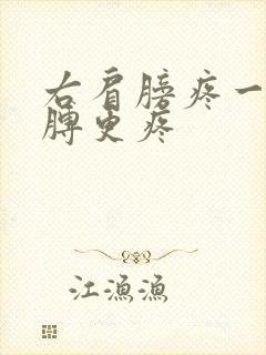 右肩膀疼一抬胳膊更疼封面